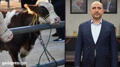 Kayseri’de Kurbanlık Tavsiye Fiyatları Açıklandı!