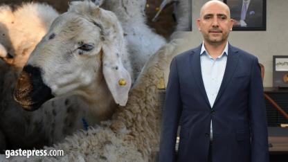 Kayseri’de Kurbanlık Tavsiye Fiyatları açıklandı!