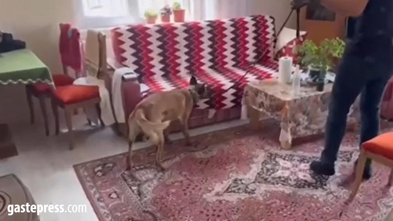 Kayseri’de Silah Tacirlerine Operasyon: Çok Sayıda Silah ve Uyuşturucu Ele Geçirildi!