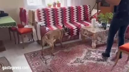 Kayseri’de Silah Tacirlerine Operasyon: Çok Sayıda Silah ve Uyuşturucu Ele Geçirildi!