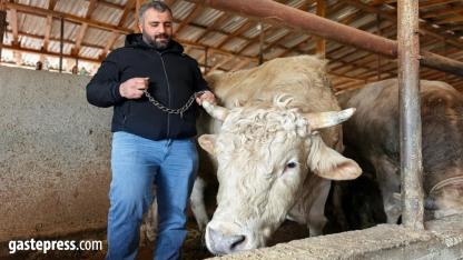 Tonluk 'Paşa' 500 bin lira!