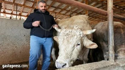 Tonluk 'Paşa' 500 bin lira!