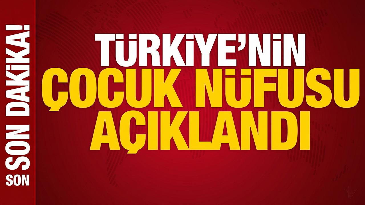 Türkiye’de her 4 kişiden biri çocuk: Nüfusun yüzde 24,8’i 0-17 yaş grubunda!