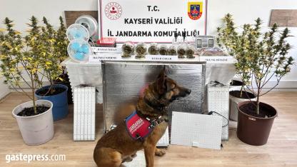 Kayseri’de uyuşturucu operasyonu: 1 gözaltı!