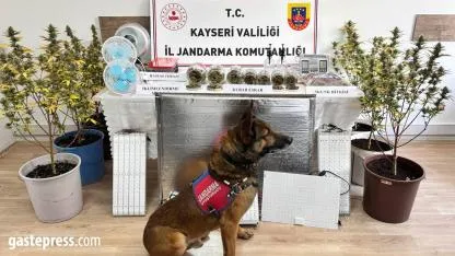 Kayseri’de uyuşturucu operasyonu: 1 gözaltı!